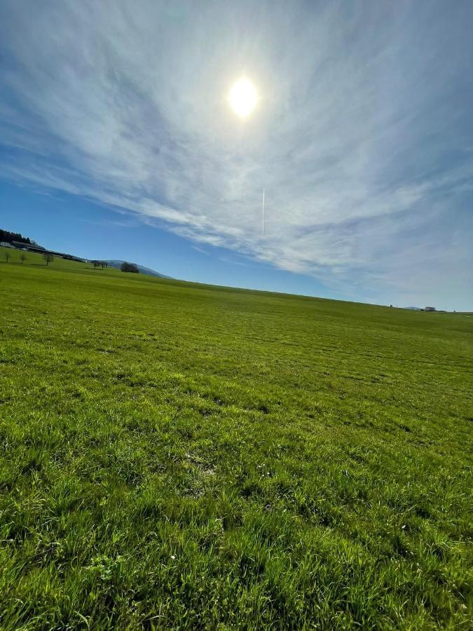 Hundefreundliche Unterkunft Im Muehlviertel In Oberoesterreich Freundorf 外观 照片
